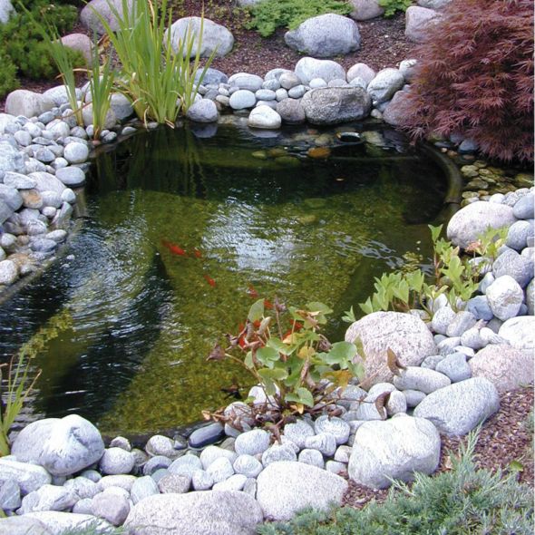 Bassin de jardin