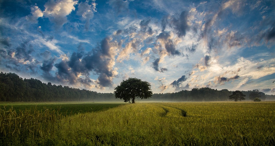 Recherche de terrain : tout ce qu'il faut savoir