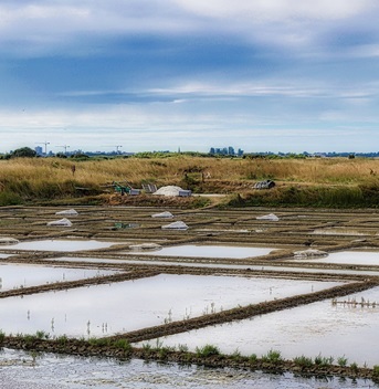 Construire sa maison avec le Groupe BLAIN CONSTRUCTION sur la commune de Guérande (44350)